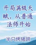 开局满级天赋，从普通法师开始