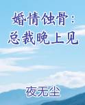 婚情蚀骨：总裁晚上见