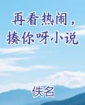再看热闹，揍你呀小说
