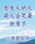 崽崽又奶又萌又会哭最新章节